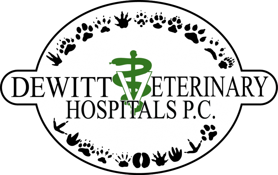 DeWitt Veterinary Hospitals