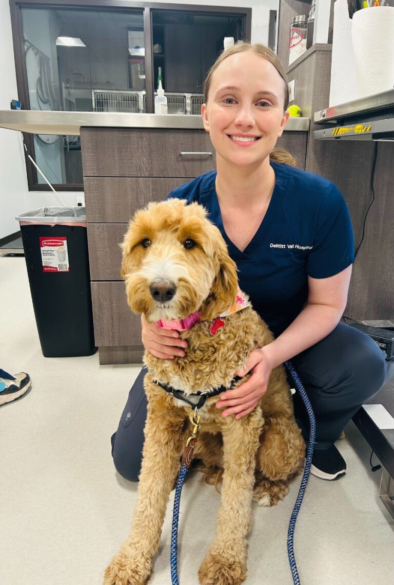 Best Vet Hospital In DeWitt, MI DeWitt Veterinary Hospital