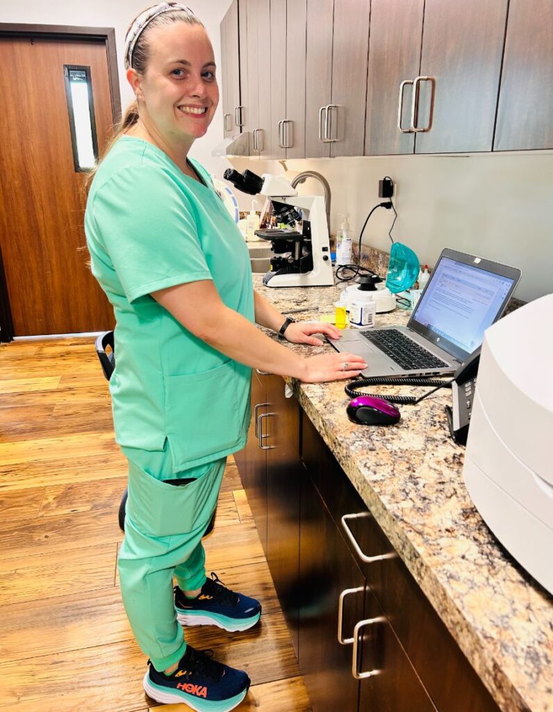 Best Vet Hospital In DeWitt, MI DeWitt Veterinary Hospital